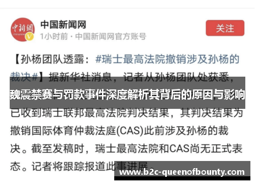 魏震禁赛与罚款事件深度解析其背后的原因与影响