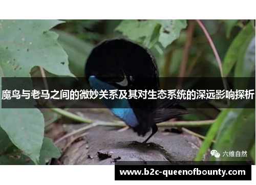 魔鸟与老马之间的微妙关系及其对生态系统的深远影响探析