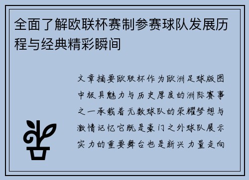 全面了解欧联杯赛制参赛球队发展历程与经典精彩瞬间